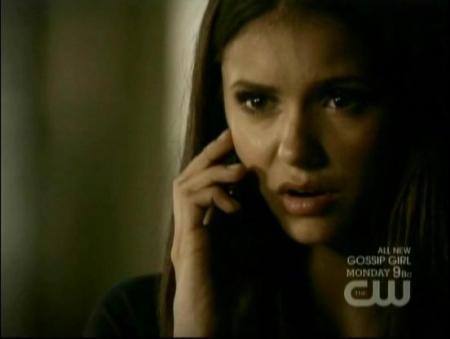 TVD_216.JPG
