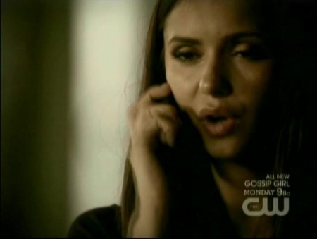 TVD_219.JPG