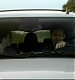 TVD_074.JPG