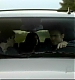 TVD_075.JPG
