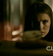 TVD_099.JPG