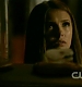 TVD_100.JPG