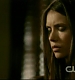 TVD_205.JPG
