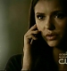 TVD_213.JPG