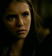 TVD_238.JPG
