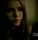 TVD_287.JPG
