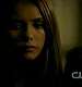 TVD_289.JPG
