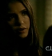 TVD_300.JPG