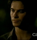 TVD_310.JPG