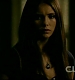 TVD_320.JPG