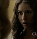 TVD0013.jpg
