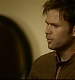 TVDS2_008.JPG