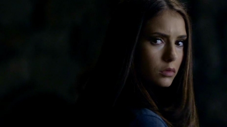 TVDS2_014.JPG