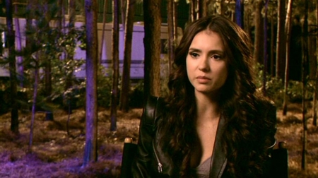 TVDS2_062.JPG