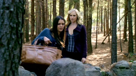 TVDS2_068.JPG