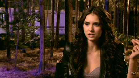 TVDS2_151.JPG
