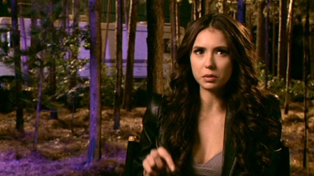 TVDS2_219.JPG