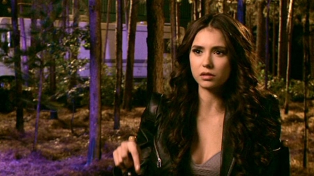TVDS2_220.JPG