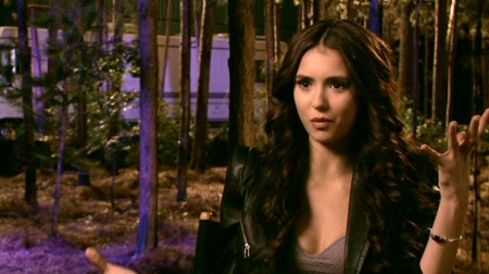 TVDS2_229.JPG