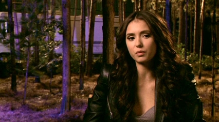 TVDS2_240.JPG