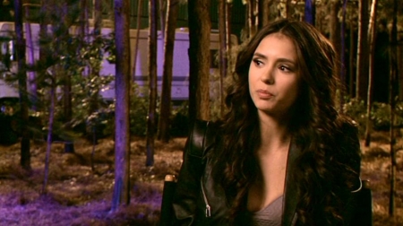TVDS2_250.JPG