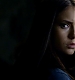 TVDS2_014.JPG