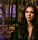TVDS2_062.JPG