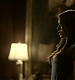 TVDS2_113.JPG