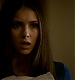 TVDS2_323.JPG
