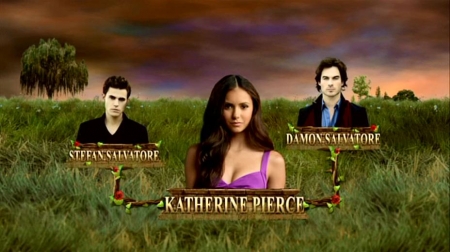 TVDS2_030.JPG