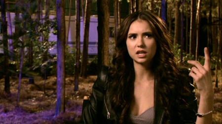 TVDS2_058.JPG