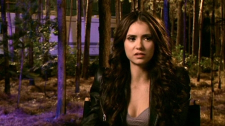 TVDS2_096.JPG