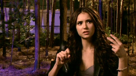 TVDS2_160.JPG