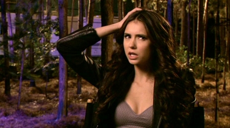 TVDS2_185.JPG