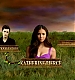 TVDS2_029.JPG