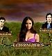 TVDS2_030.JPG