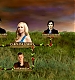 TVDS2_150.JPG