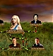 TVDS2_151.JPG