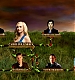 TVDS2_156.JPG