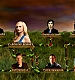 TVDS2_157.JPG