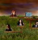 TVDS2_192.JPG