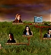 TVDS2_193.JPG