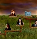 TVDS2_206.JPG