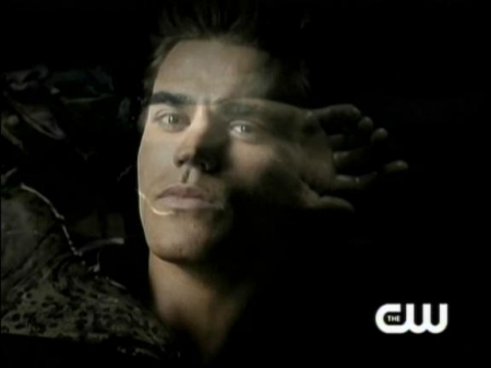 TVD_034.JPG