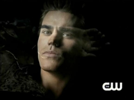 TVD_035.JPG