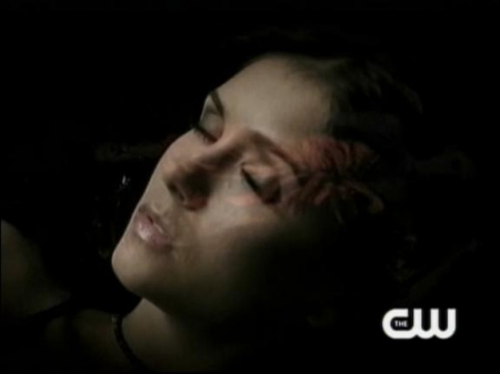 TVD_043.JPG