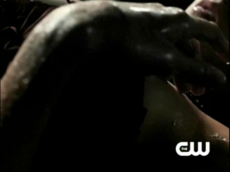 TVD_046.JPG