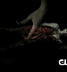 TVD_040.JPG