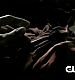 TVD_047.JPG