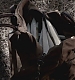 0079.jpg